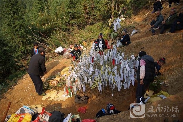 20130404d.jpg