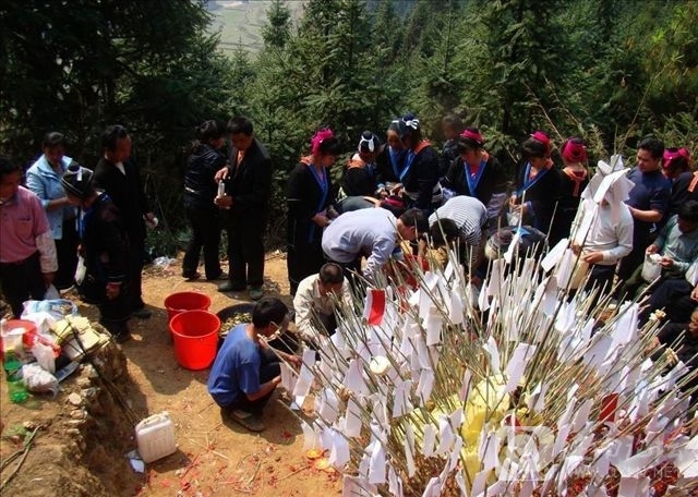 20130404k.jpg