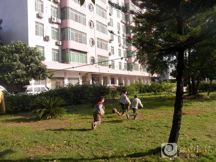 大楼和草坪.JPG