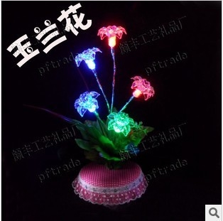 玉兰花.jpg