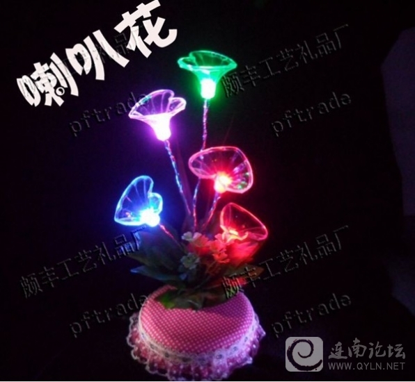 喇叭花.jpg