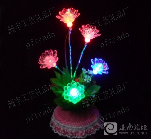 莲花.jpg