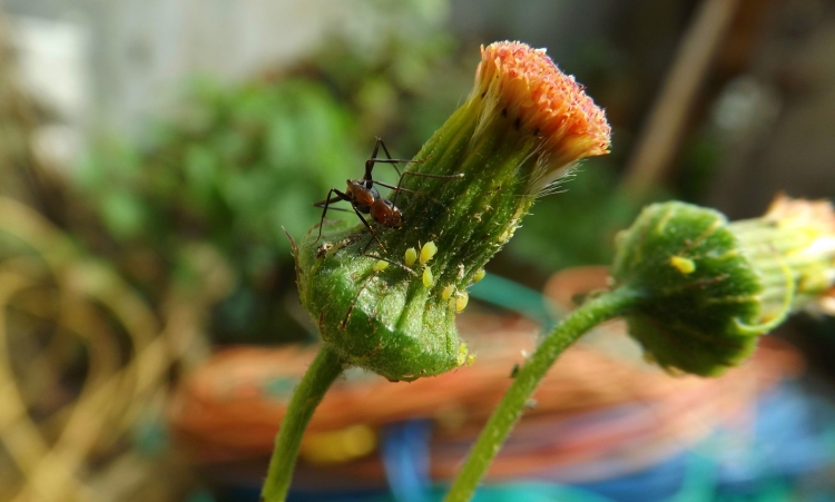 DSCF0573_副本.jpg