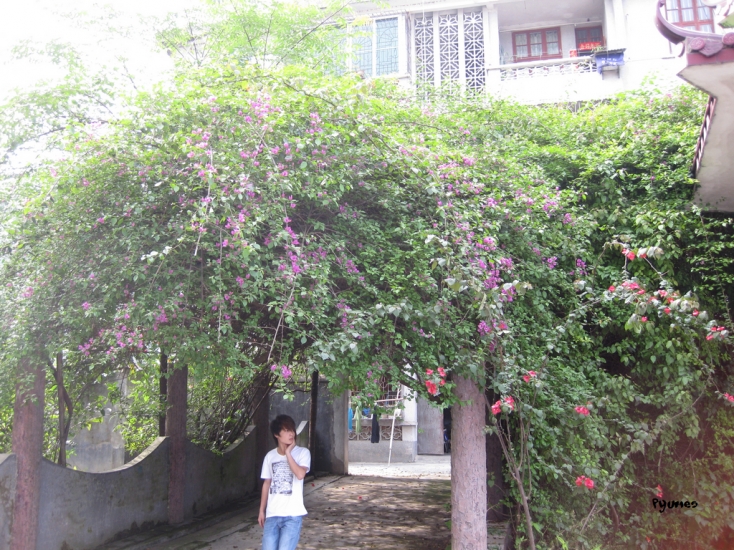 IMG_5820.jpg