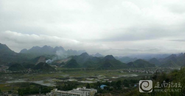 20130501c.jpg