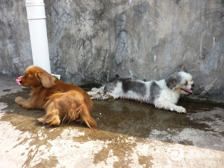P1000278.JPG