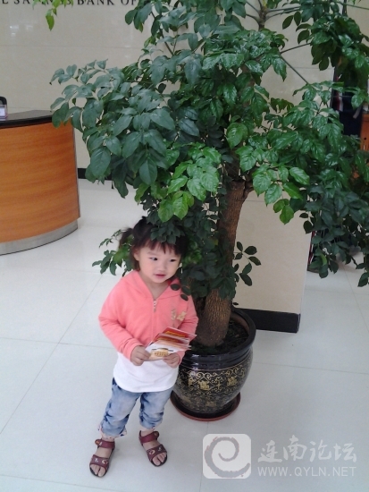 20130506_100345.jpg