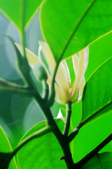 DSC_3527_副本.jpg