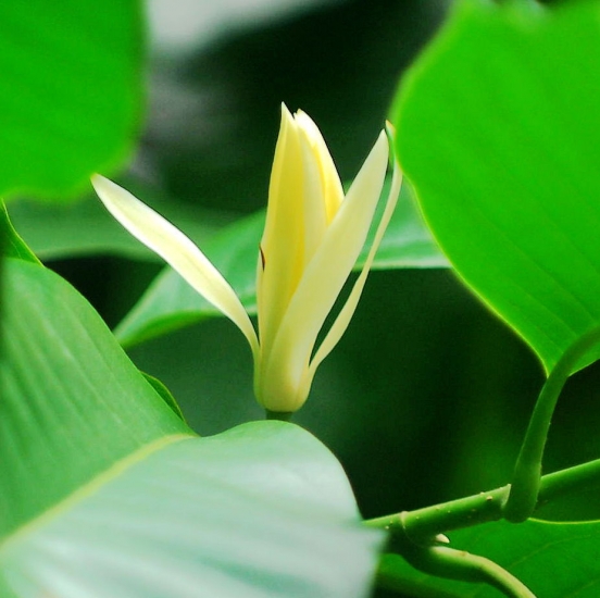 DSC_3564_副本.jpg