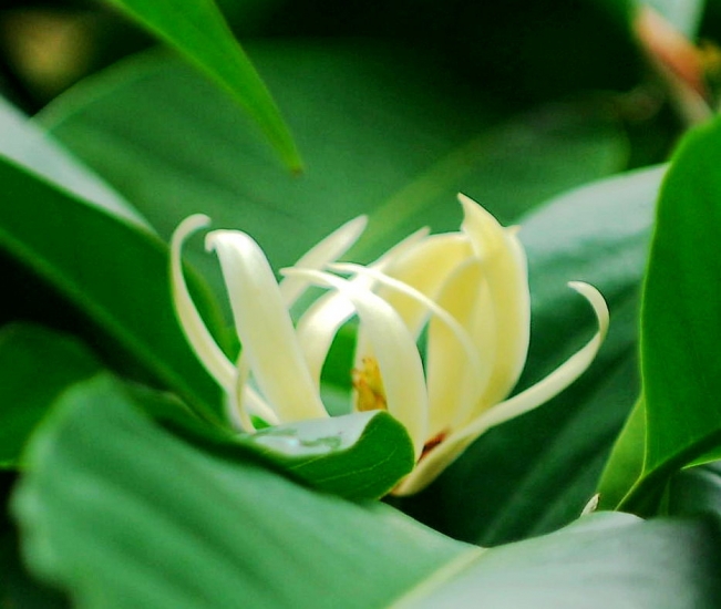 复件 DSC_3570_副本.jpg
