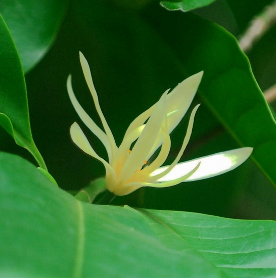 复件 DSC_3501_副本.jpg