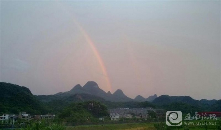 20130525b.jpg
