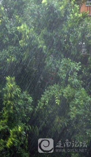 20130528a.jpg