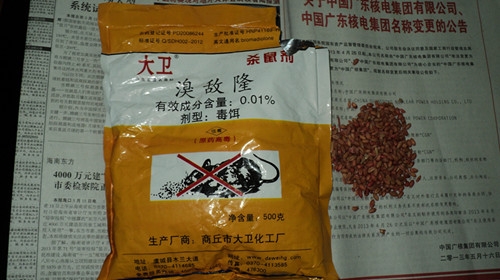 DSC01860_副本灭鼠.jpg