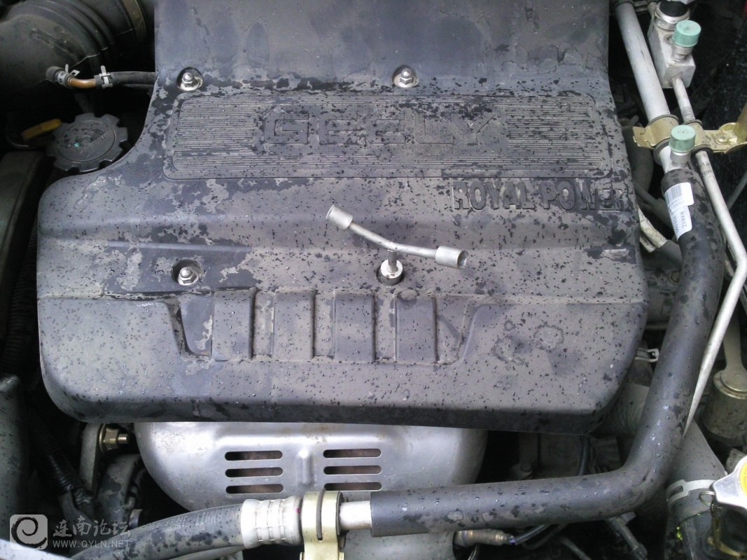 20120204002.jpg