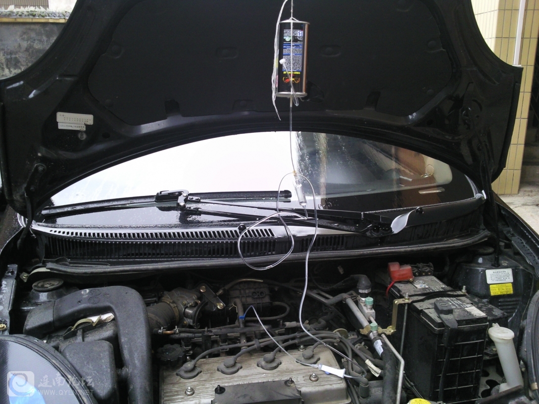 20120204004.jpg