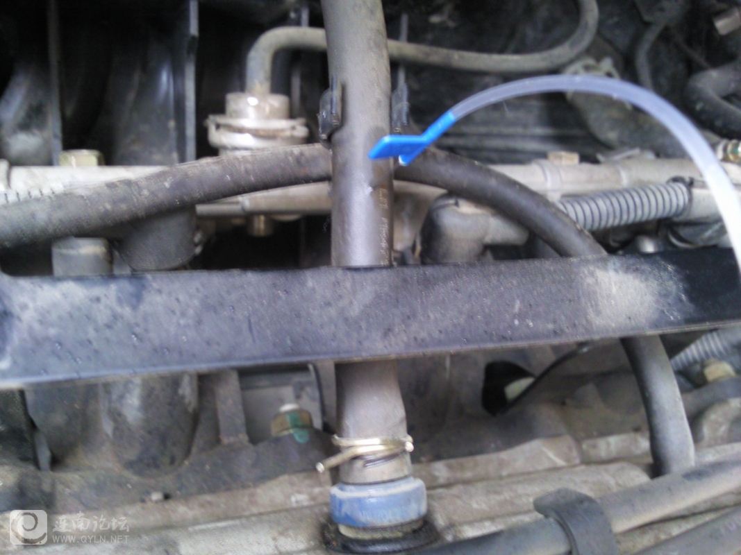 20120204005.jpg