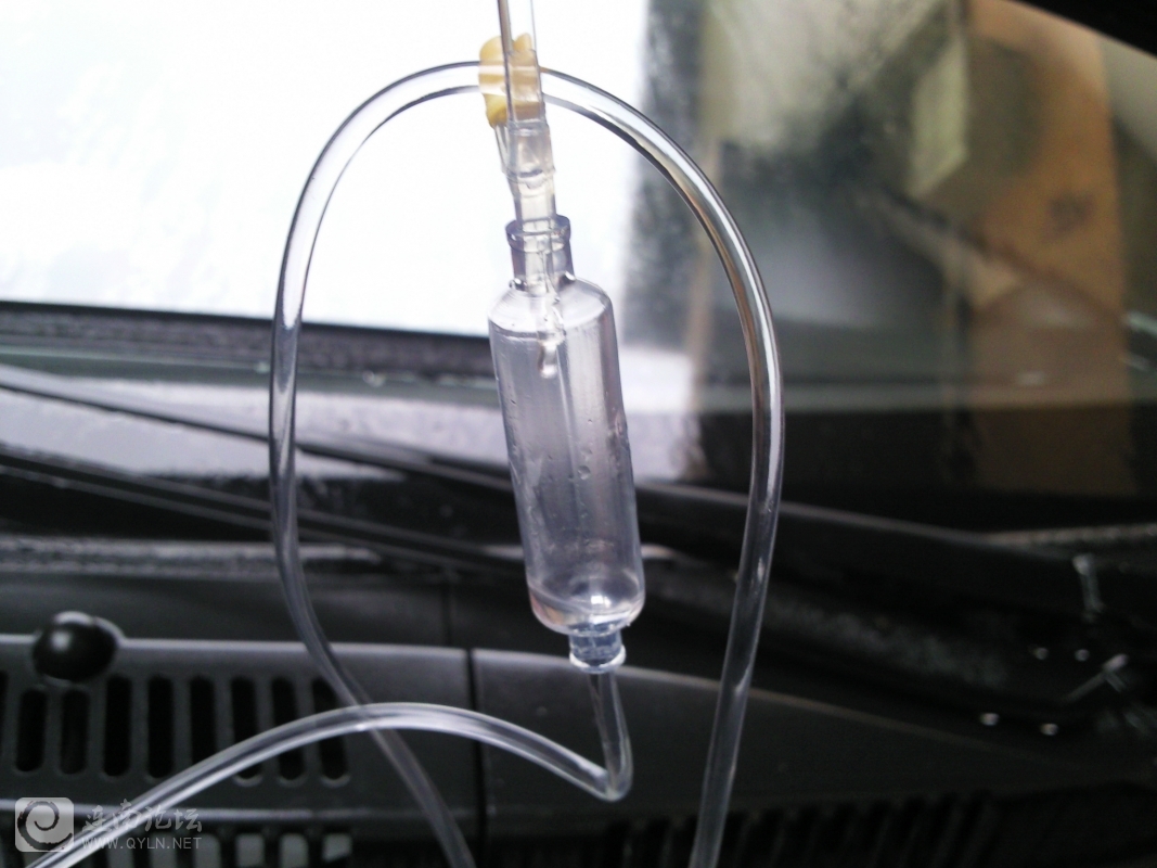 20120204009.jpg