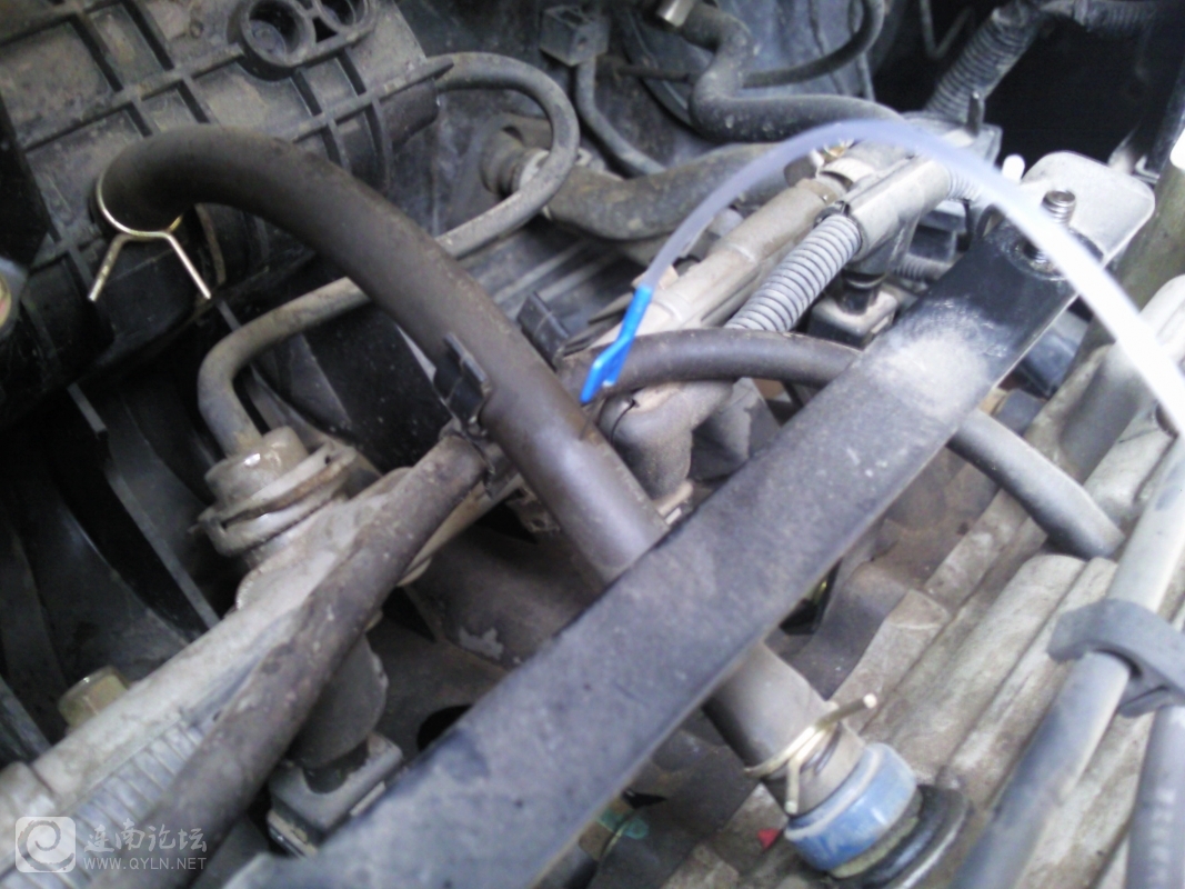 20120204011.jpg