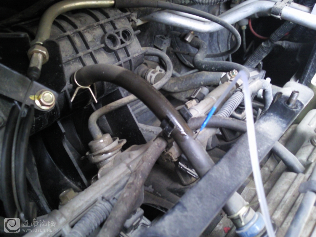 20120204031.jpg