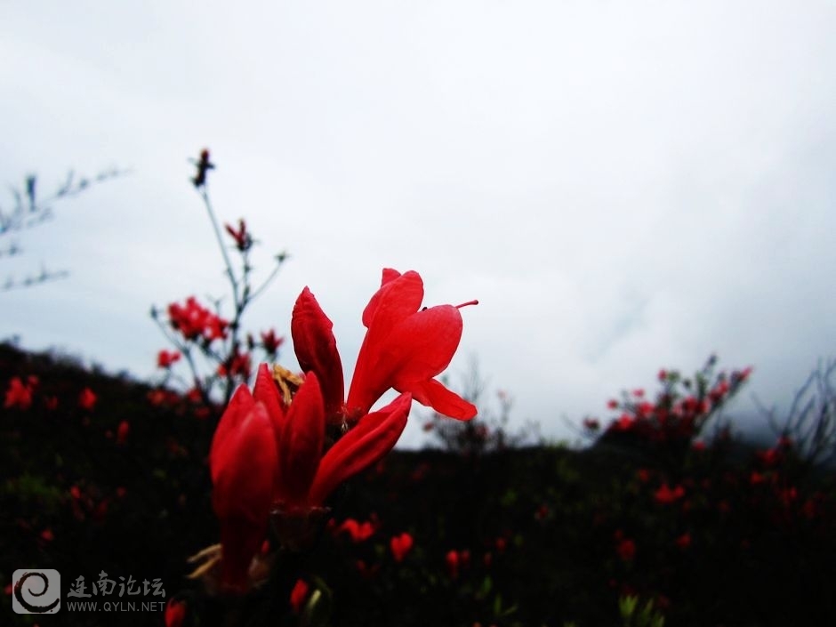 照片 083.jpg