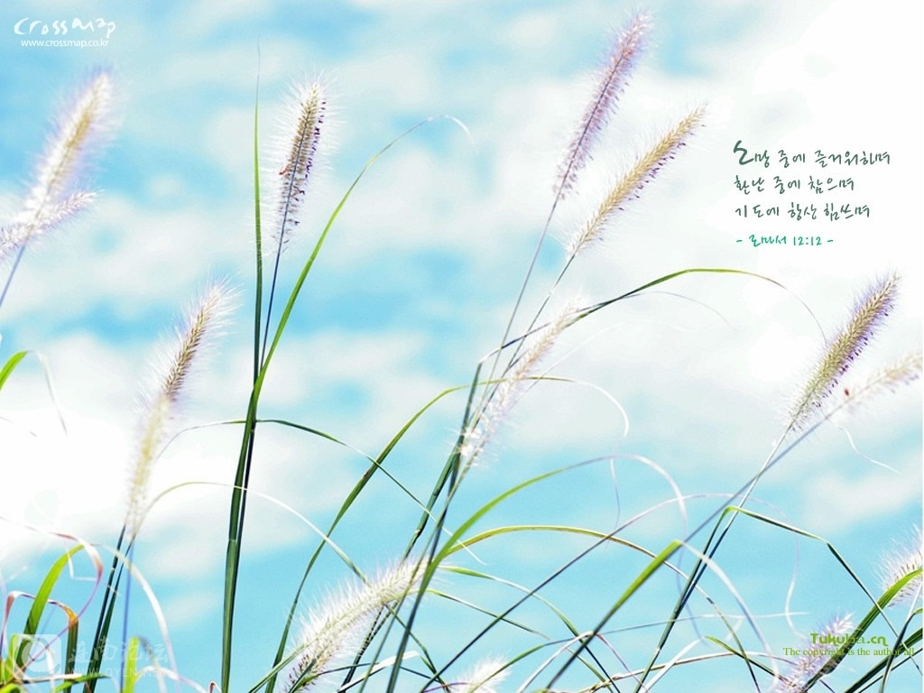 201008182308433949.jpg