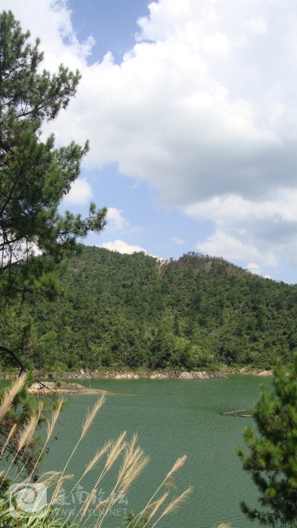 DSC06969.JPG