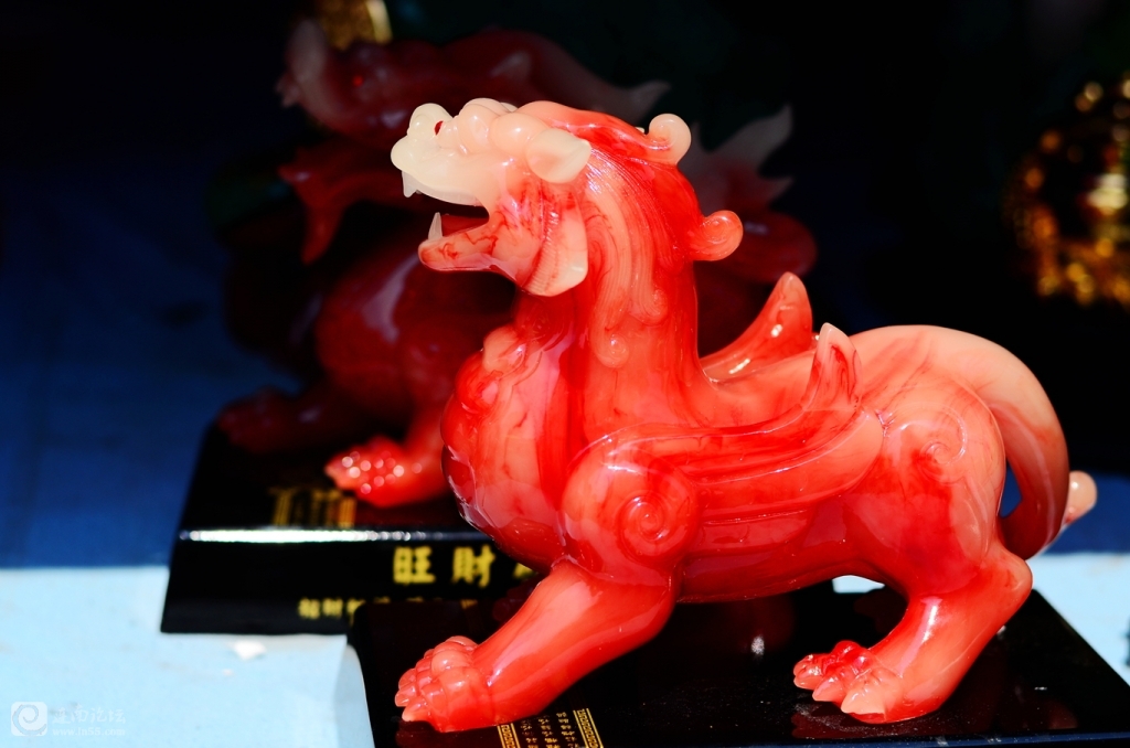 DSC_1547_副本.jpg