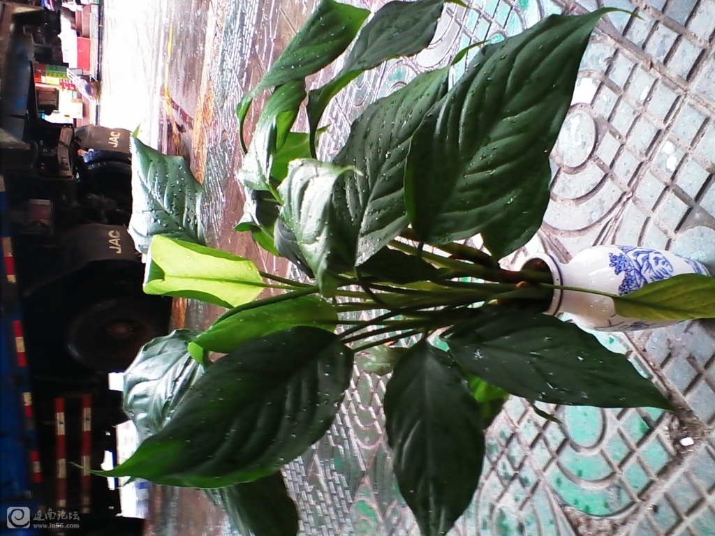 IMG_20130815_104807.jpg