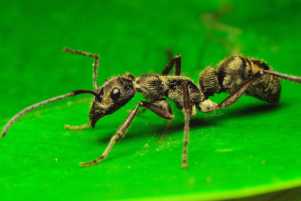 DSC_0430.jpg