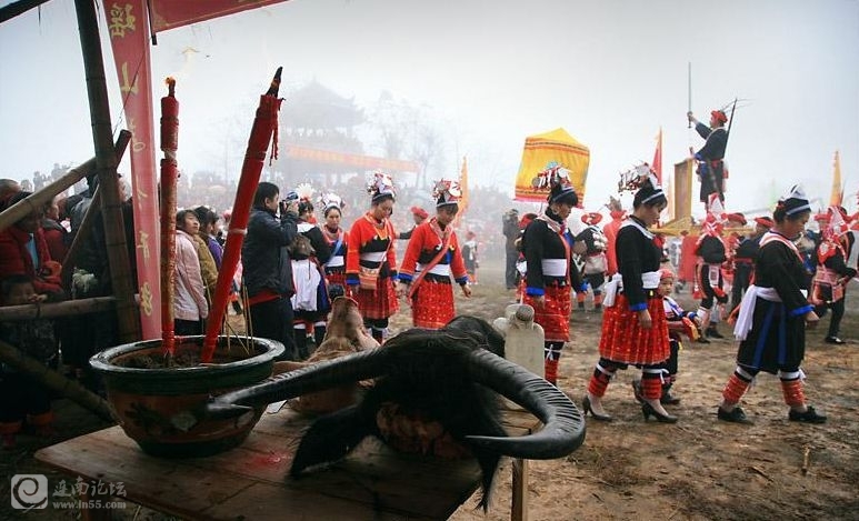 114.jpg
