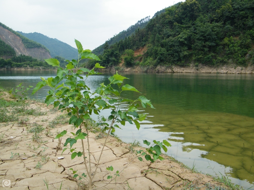 DSCF3618.JPG