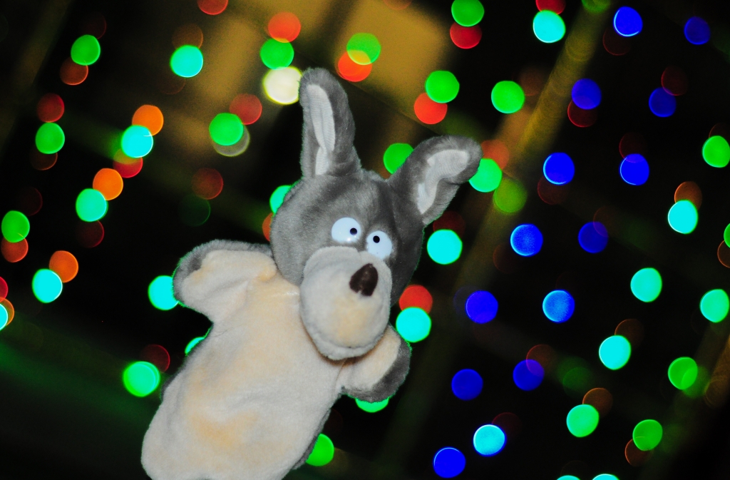 DSC_1288.jpg