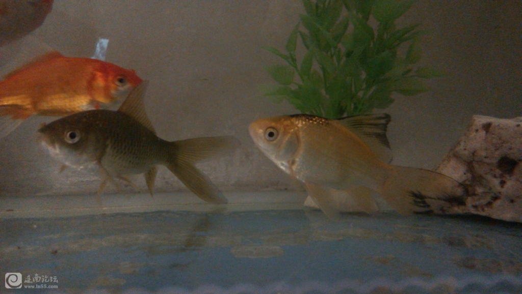 IMG_20131022_195122.jpg