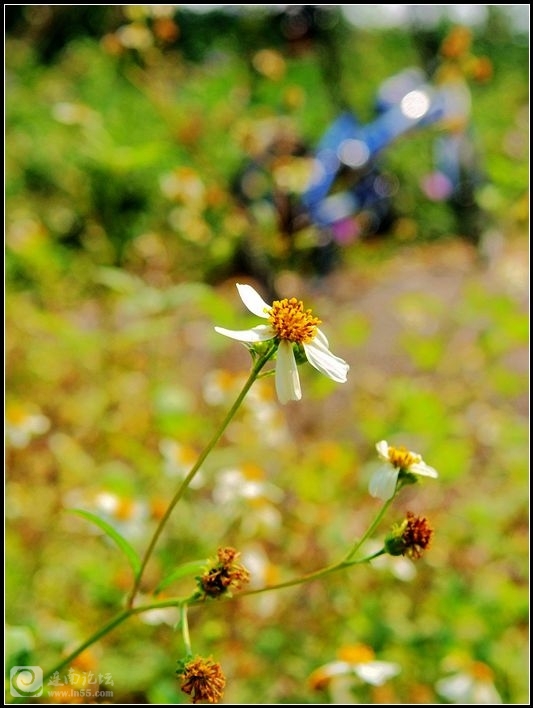 DSCF4590_副本.jpg