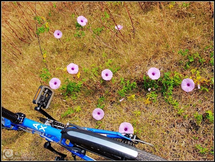 DSCF4579_副本.jpg