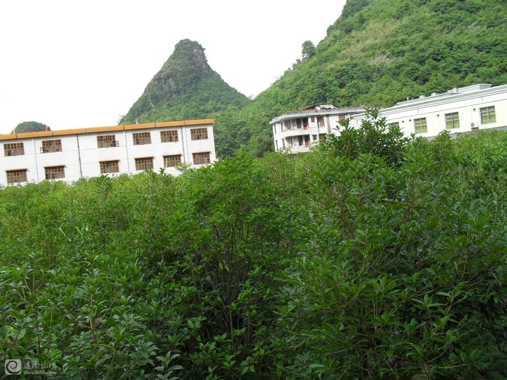SDC13722.JPG