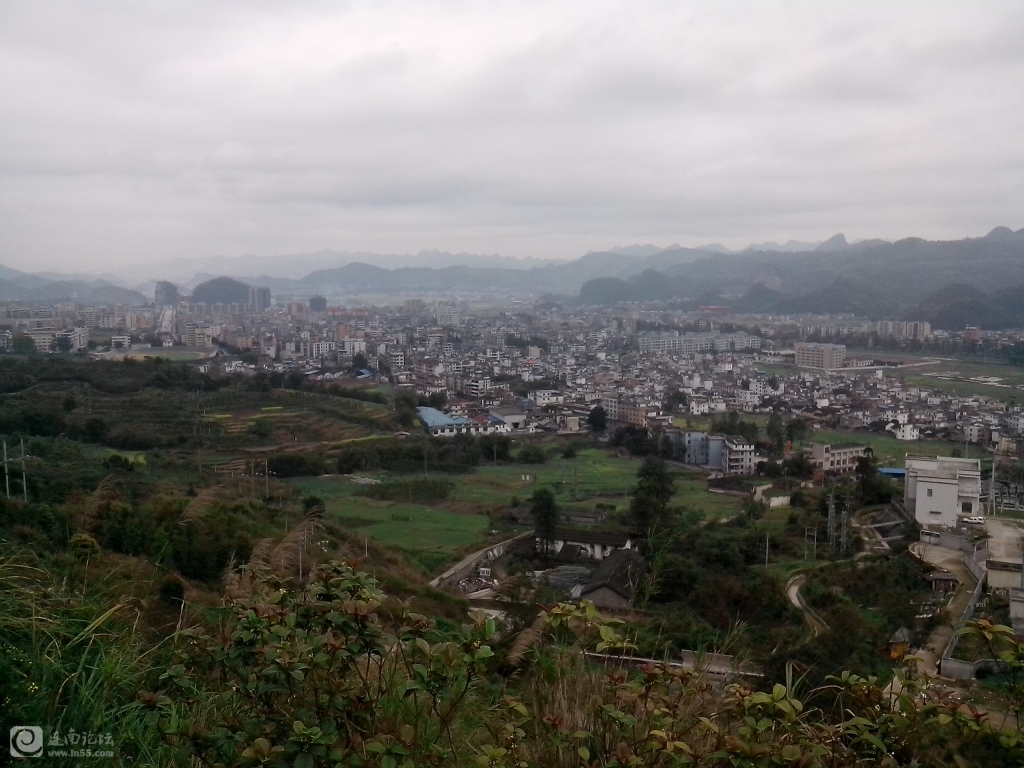 原生态