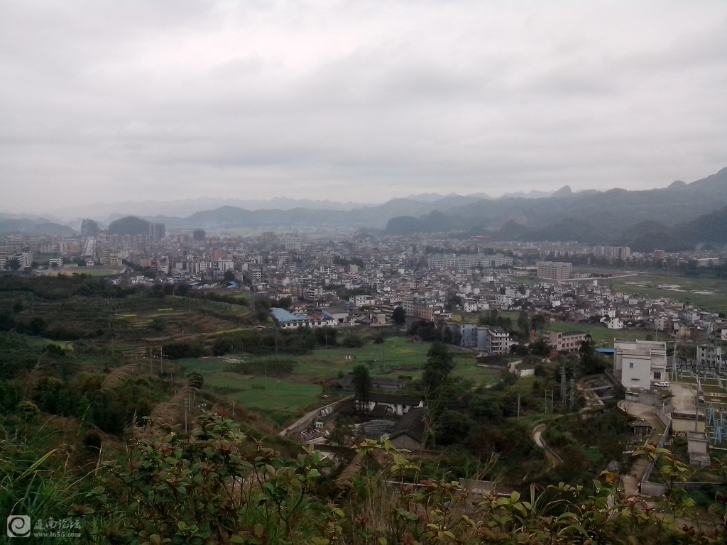 原生态