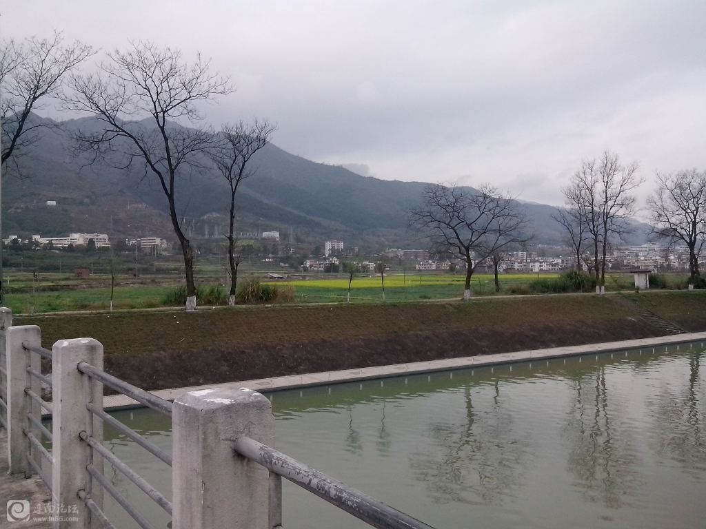 原生态