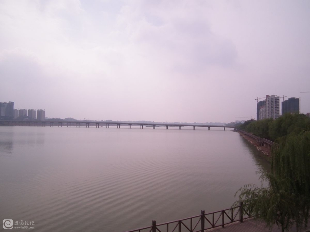 DSCF9462.jpg