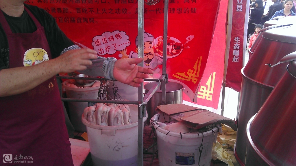 IMAG0727.jpg
