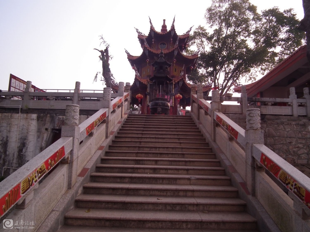 DSCF9545.jpg