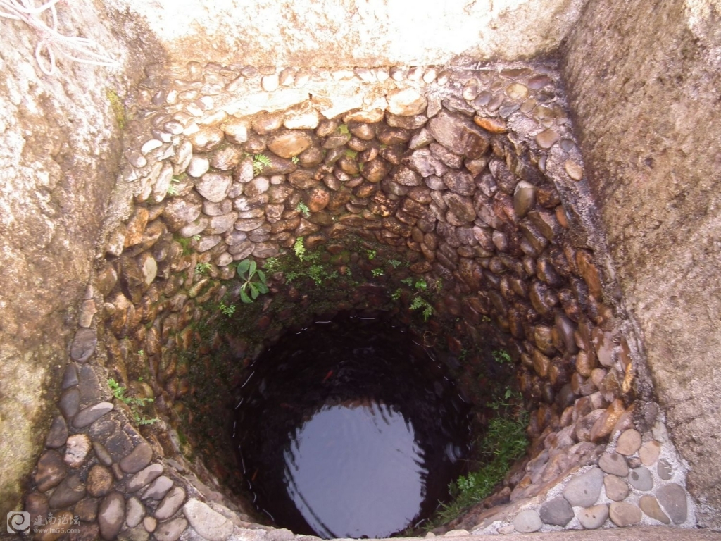 DSCF9584.jpg