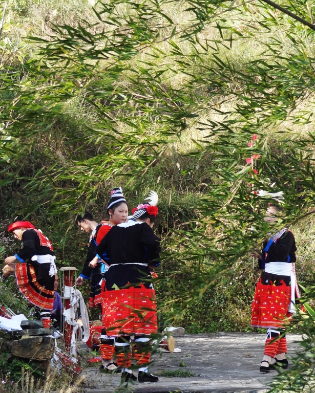 DSC07869_HZP.jpg