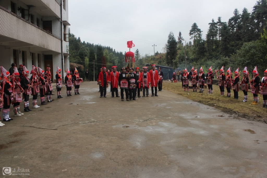 111b.jpg