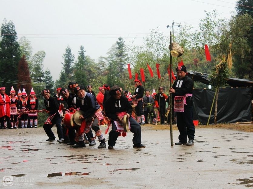 558.jpg