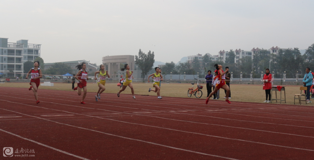 QQ截图20131120233931.png