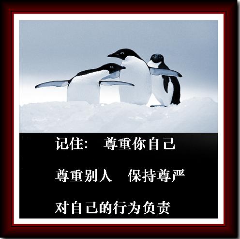 [转帖]一张图片一个感悟