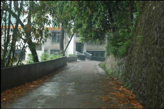 上电影院的路和灯光球场